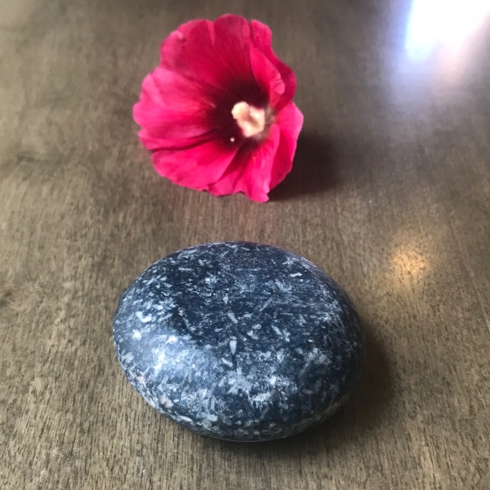 BLUEBERRY PIE Shampoo Bar / Mountain Mom Soap Co